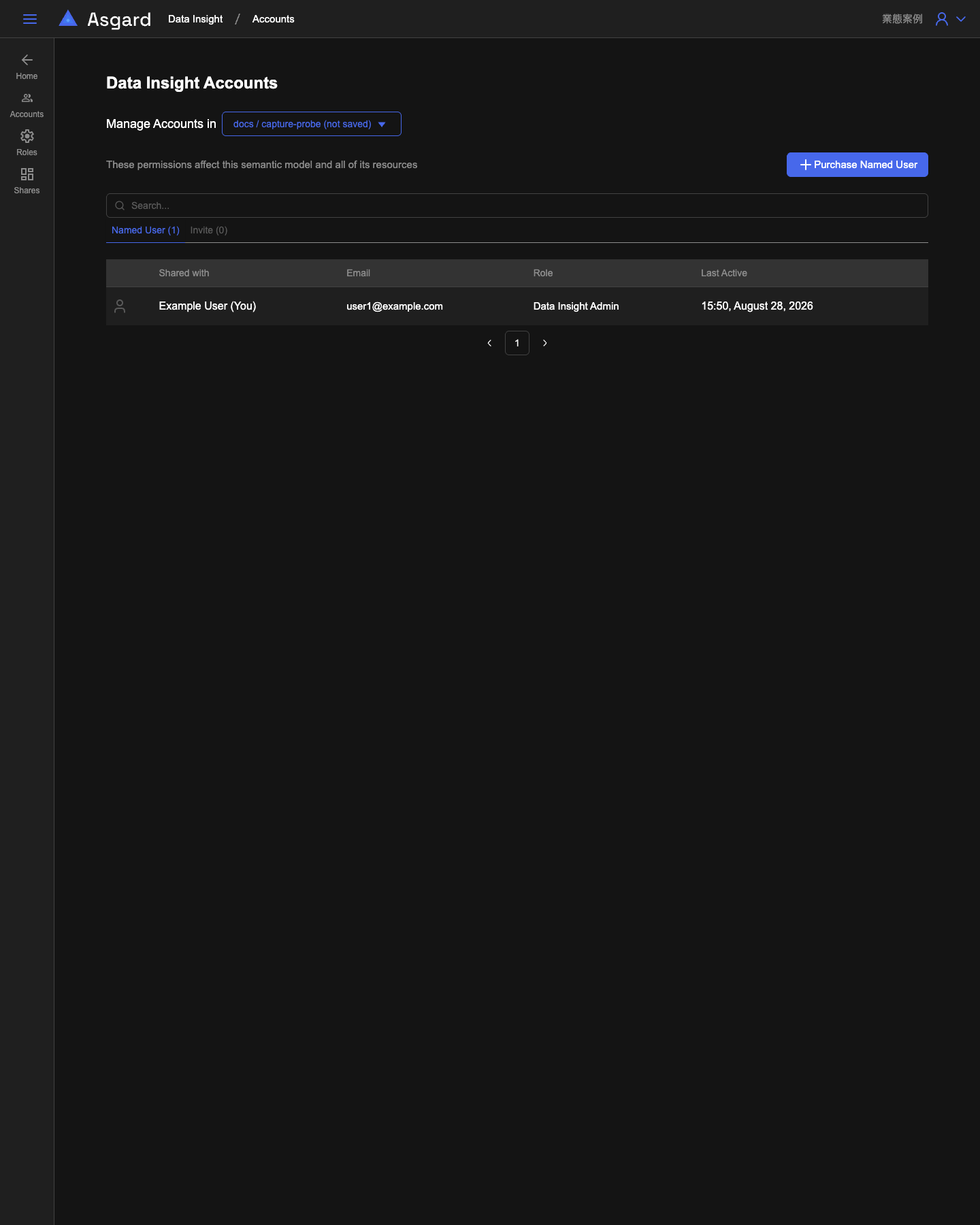 Data Insight Accounts, showing the Manage Accounts in picker, Purchase Named User, and the Shared with column